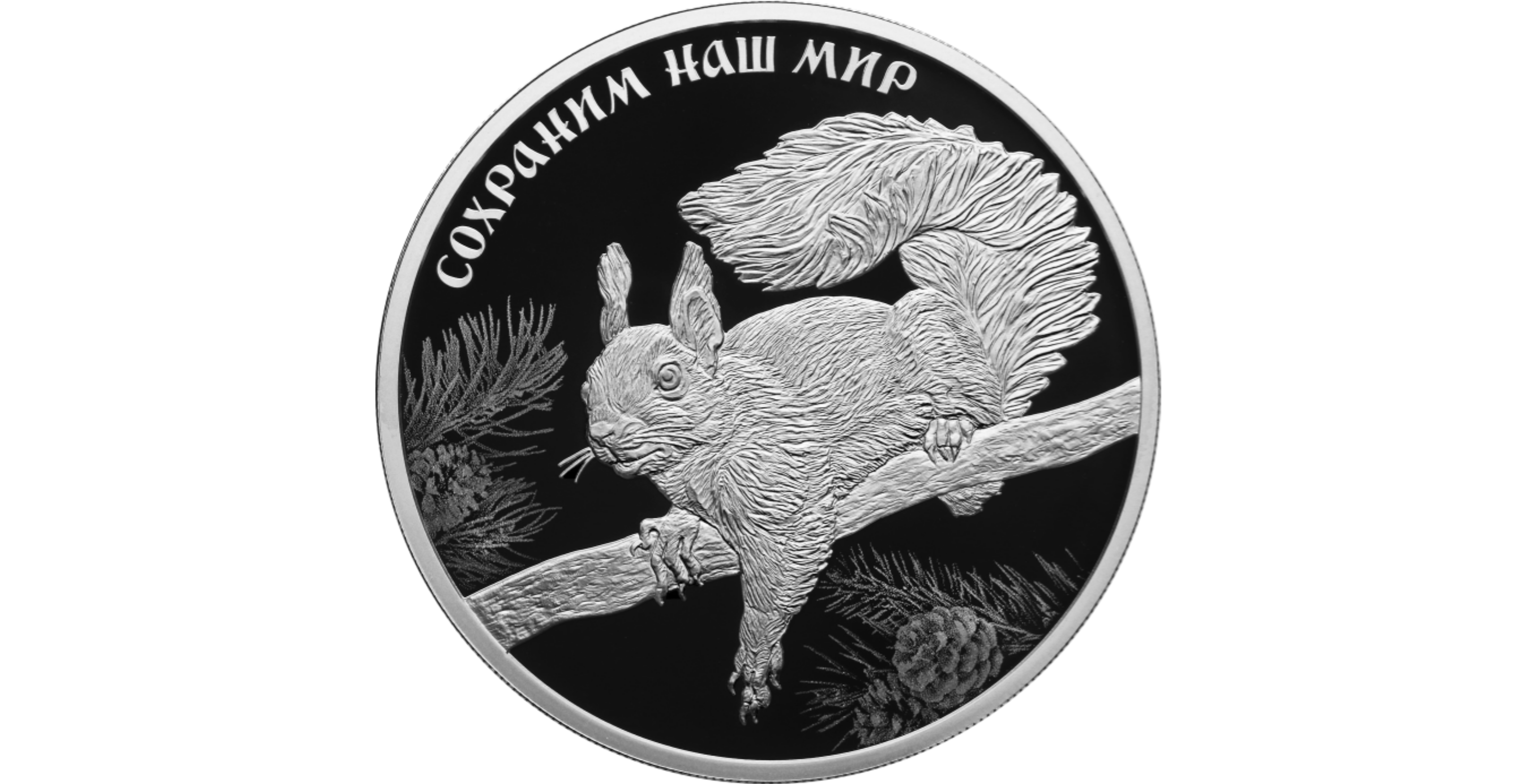 Монета белка обыкновенная