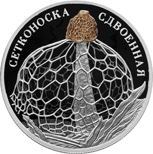 Сетконоска-22